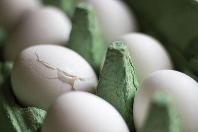 Close-up of eggs on carton 