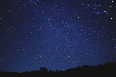 Low angle view of silhouette stars against sky at night