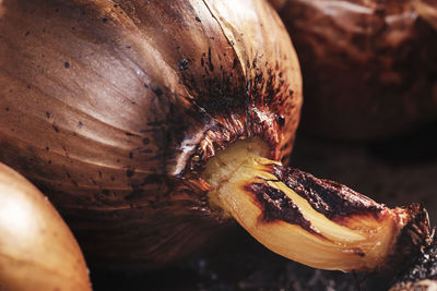 Close-up of fruit