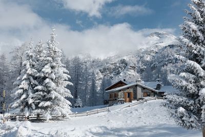 Fresh snow in the morning in valtournenche 