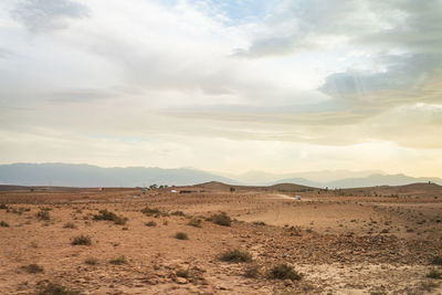 Scenic view of field against sky during sunset