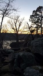 Bare trees on landscape at sunset