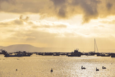 Sailboats in sea against sky