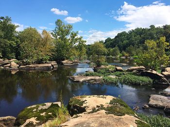 Scenic view of river with trees in background