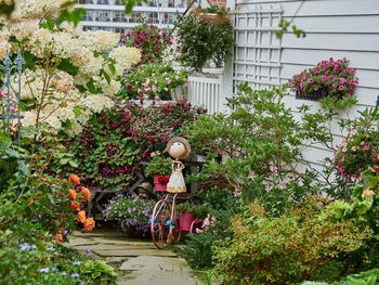 Flowering plants by building in yard