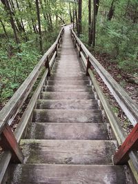 Footbridge in forest