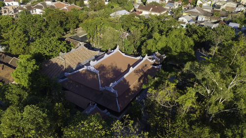 High angle view of trees and houses on field