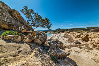 Rock formations by trees against blue sky