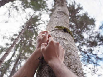 Low angle view of hand against tree trunk