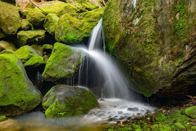 Nature rainforest river cascade. stream in forest nature. green forest stream. nature. stream