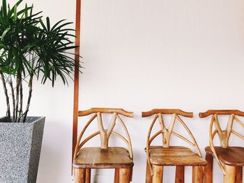 Potted plants on table against wall at home