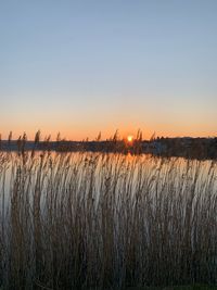 Scenic view of lake against clear sky during sunset