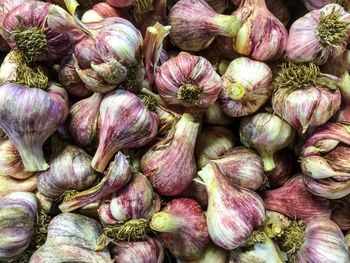 Full frame shot of purple garlics for sale at market