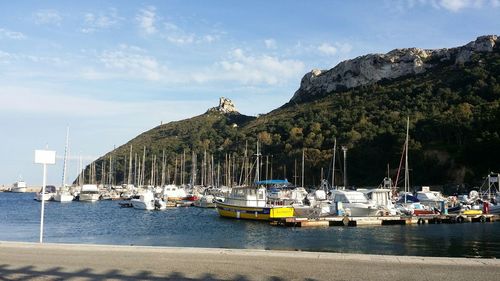 Boats in harbor