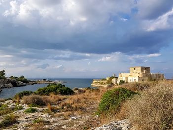 Plants by sea and buildings against sky