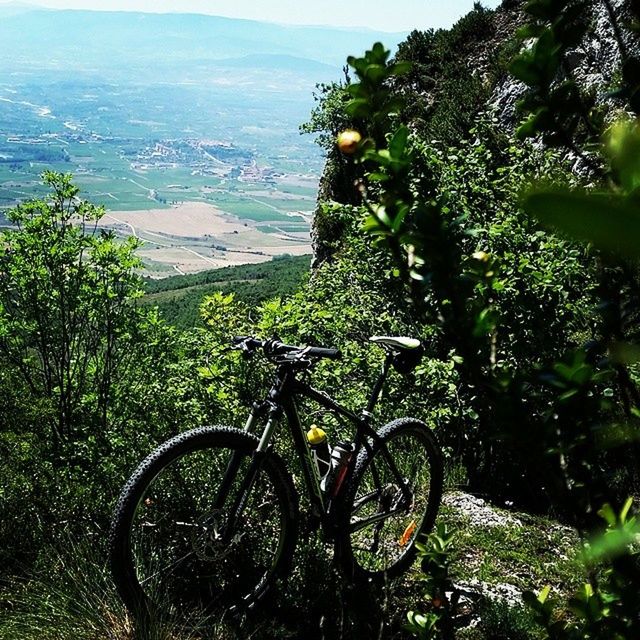 bicycle, transportation, mode of transport, land vehicle, tree, parked, stationary, tranquility, parking, mountain, growth, nature, tranquil scene, plant, scenics, beauty in nature, green color, day, sunlight, no people