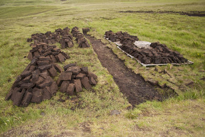 Stack of peat briquettes on grass field