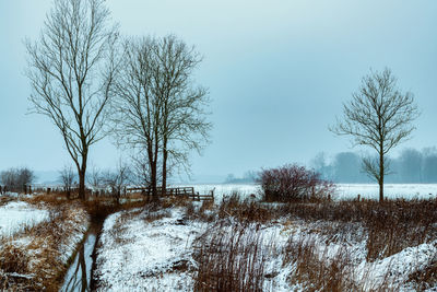 Bare trees on snow covered field against sky