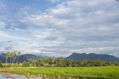 Scenic view of landscape against sky