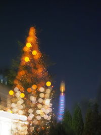 Low angle view of illuminated christmas tree at night