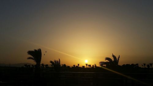 Scenic view of sunset