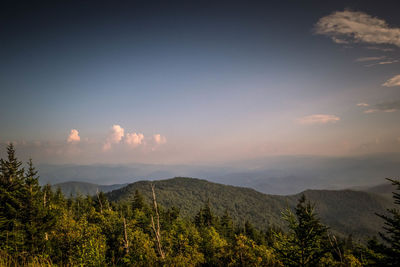 Trees and mountains against sky during sunset