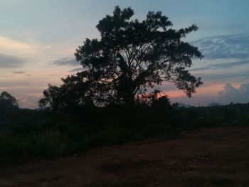 Silhouette trees on field against sky at sunset