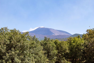 Scenic view of trees and mountains against sky