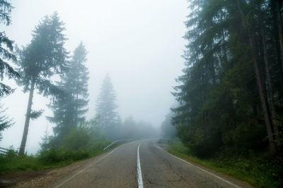 Empty road amidst trees against sky