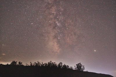 Low angle view of silhouette trees against sky at night