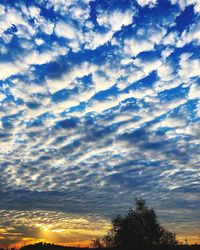 Low angle view of silhouette trees against dramatic sky