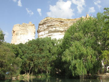 Low angle view of trees on cliff against sky