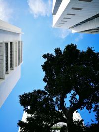 Low angle view of building against blue sky