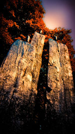 Silhouette of woman in park