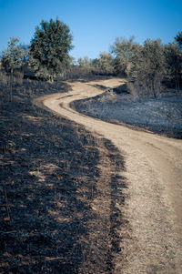 Dirt road amidst ash at forest against clear blue sky