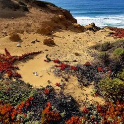 High angle view of rocks on beach