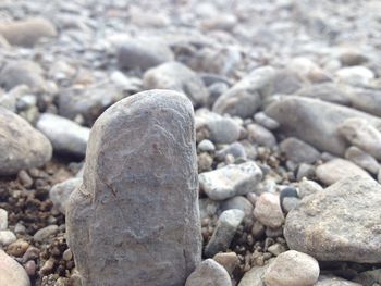 Close-up of stones on beach