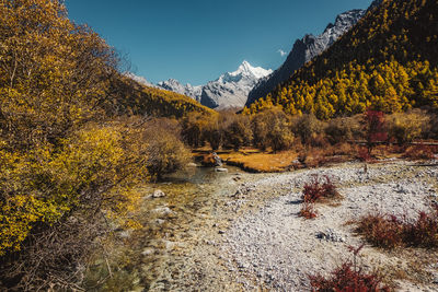 Scenic view of snowcapped mountains against sky during autumn