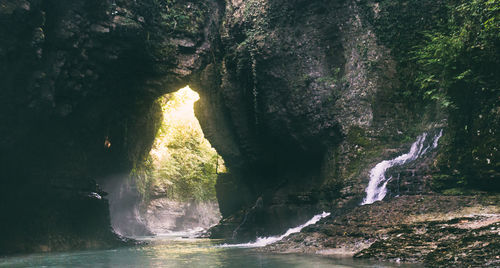 Scenic view of waterfall in forest