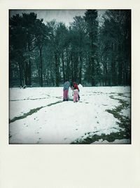 Children playing on snow covered trees