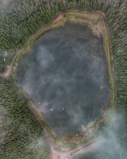 Digital composite image of trees on land