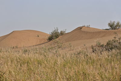 Scenic view of desert against clear sky