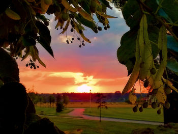 Scenic view of field against sky during sunset