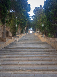 Low angle view of steps amidst trees