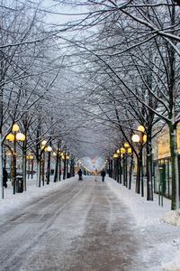 Snow covered footpath amidst bare trees in city