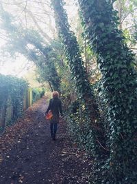 Woman standing on tree trunk in forest