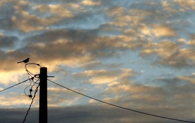 Low angle view of silhouette pole against sky during sunset