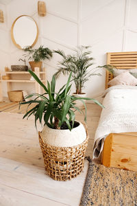 Potted plant on table at home