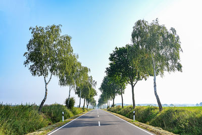 Road amidst trees against sky