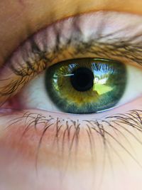 Extreme close-up of human eye